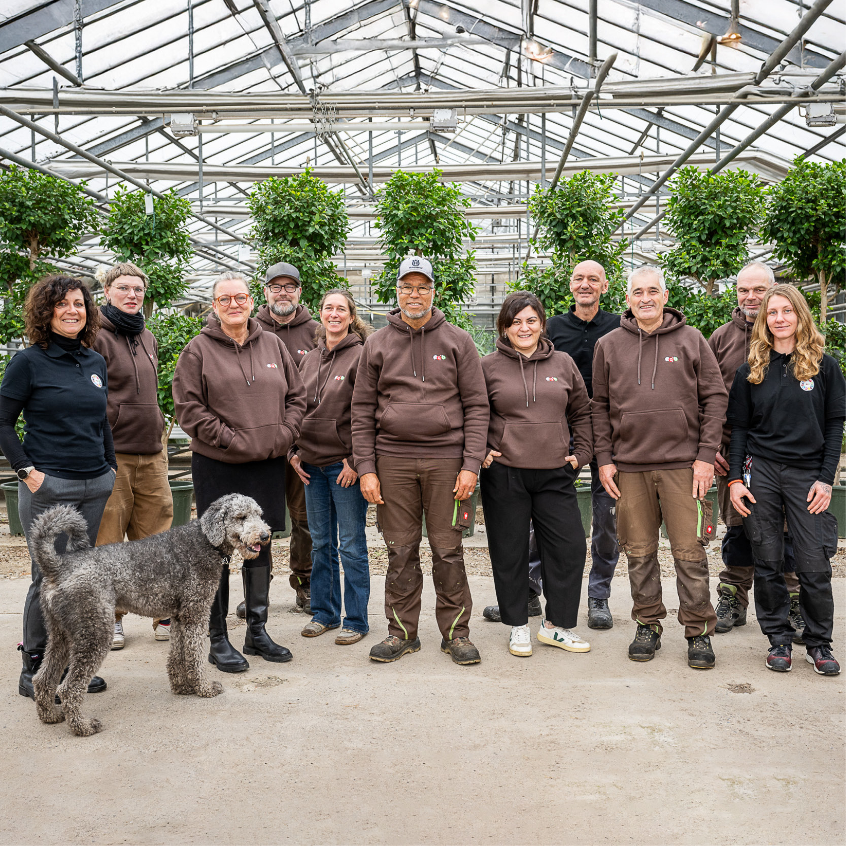 fqb_web_Bilder Quadratisch_800x800px_Arbeitsangeb_Team